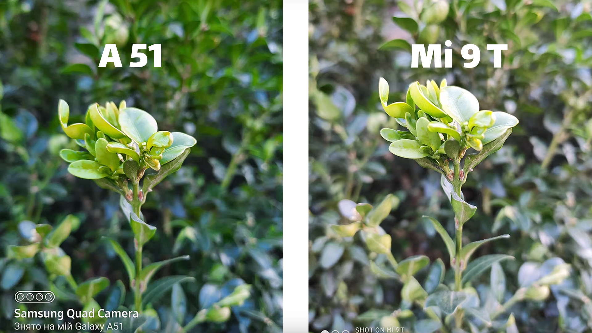 مقایسه گوشی سامسونگ Galaxy A51 و شیائومی Mi 9T+ لیست جزئیات